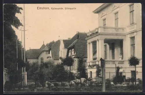 AK Elmshorn, Kaltenweide, Villenpartie