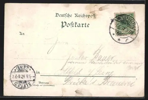 Lithographie Neustrelitz, Schloss, Helgoland, Grossherzog Georg-Denkmal