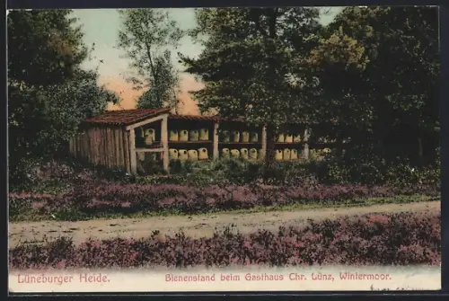 AK Wintermoor /Lüneburger Heide, Bienenstand beim Gasthaus Chr. Lünz