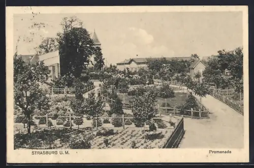 AK Strasburg /U. M., Promenade mit Anlagen