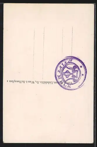 AK Melk a. d. D., Prälatenhof, Ansicht von einem Torbogen aus