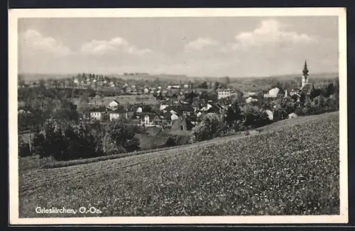 AK Grieskirchen /O.-Ö., Gesamtansicht von einer Wiese aus