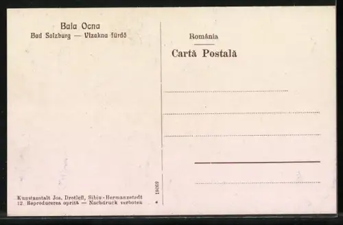 AK Baia Ocna, Vizakna fürdö, Vedere generala