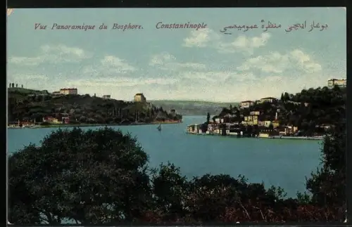 AK Constantinople, Vue Panoramique du Bosphore