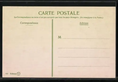 AK Constantinople, Vue Panoramique du Bosphore