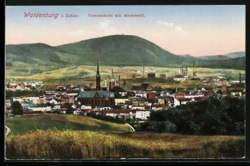 AK Waldenburg i. Schles., Totalansicht mit Hochwald