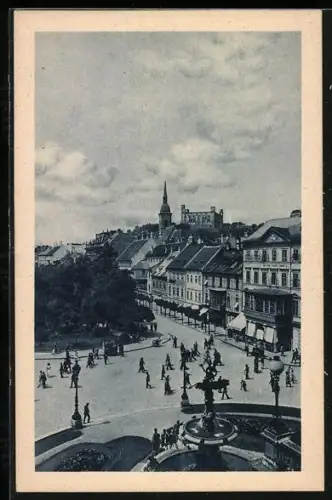 AK Bratislava, Brunnen im Ort