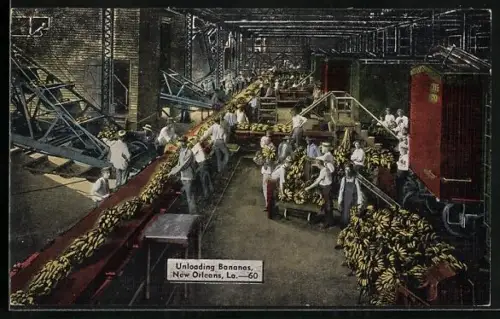 AK New Orleans, Banana Plant, Unloading Bananas
