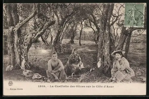 AK La Cueillette des Olives sur la Côte d`Azur, Landwirtschaft
