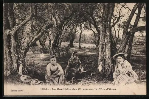 AK La Cueillette des Olives sur la Côte d`Azur, Landwirtschaft