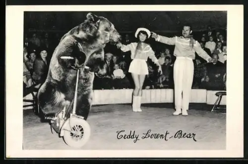 AK Teddy Lorent-Bear, Bärendressur
