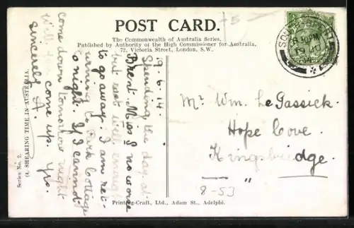 AK Shearing Time in Austrailia, Schafescheren