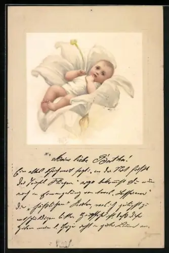 Künstler-AK Kleinkind in einer Blüte liegend, Metamorphose
