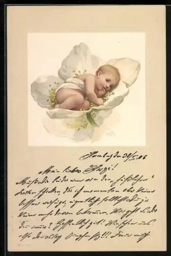 AK Kleines Kind in einer Blüte liegend, Metamorphose