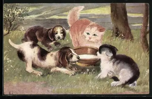 AK Zwei Junge und zwei Katzen streiten sich an einem Wassertrog