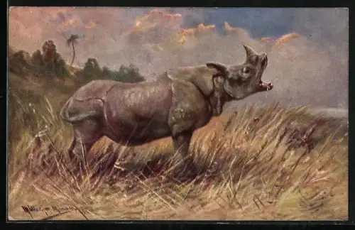 Künstler-AK M. Müller jun.: Nashorn über die Savanne brüllend