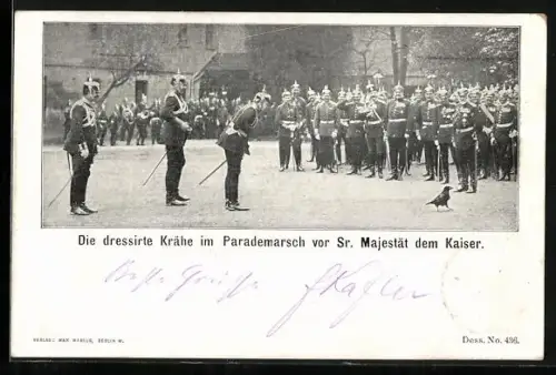 AK Die dressierte Krähe im Parademarsch vor Sr. Majestät dem Kaiser