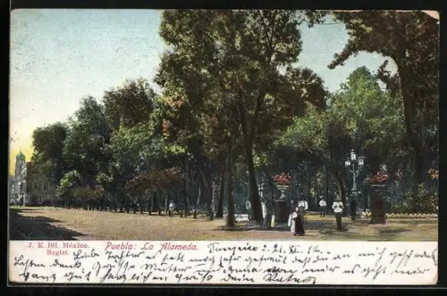 AK Puebla, La Alameda