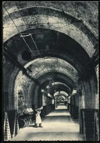 AK Reims, Champgne Rommery & Greno, Vue d`une Galerie