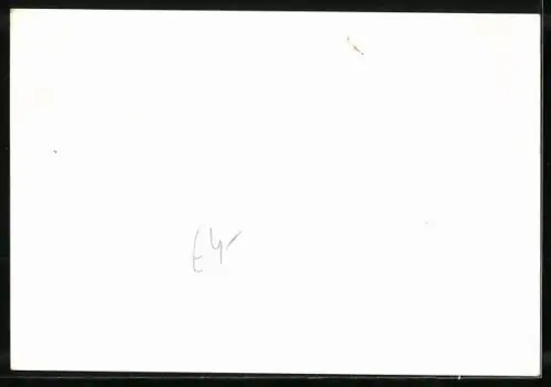 AK Berlin, Zirkus Renz, Drei Mädchen mit Ponys