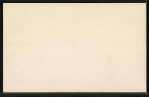 AK Rigi Kaltbad, Totalansicht