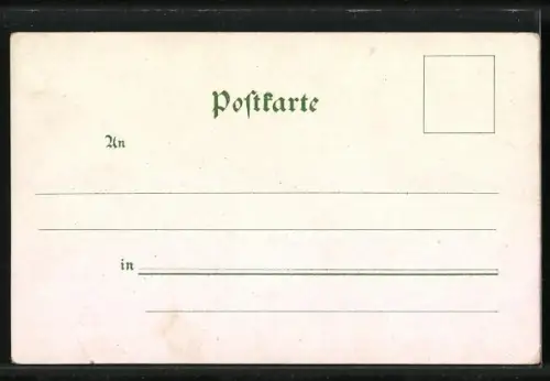 Lithographie Strassburg i. Els., Münster, Kaiserpalast, Das alte Haus