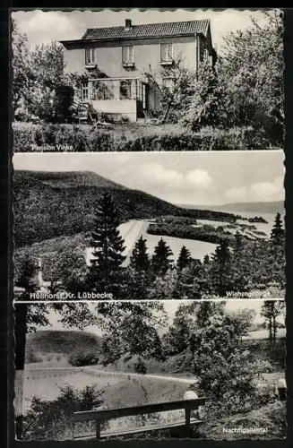 AK Hüllhorst /Lübbecke, Pension Vinke, Wiehengebirge, Nachtigallental