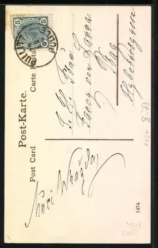 AK Paar mit Ferkel an einer Sektflasche, Neujahrsgruss