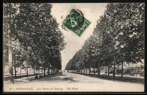 AK Périgueux, Les Allées de Tourny