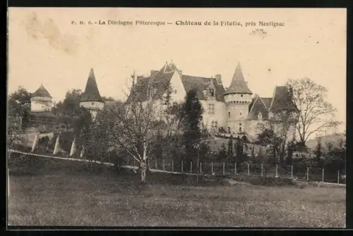 AK Filolie près Montignac, Le Château