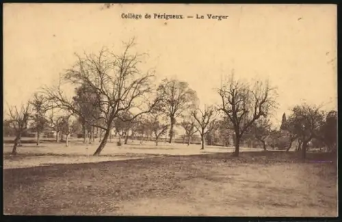 AK Périgueux, Collège de Périgueux, Le Verger