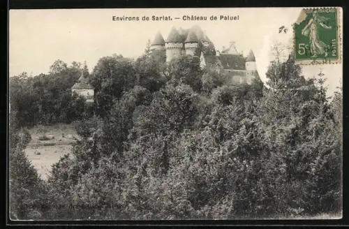 AK Sarlat, Château de Paluel entouré d`arbres