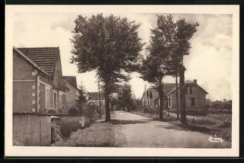 AK Le Buisson /Dordogne, Route de Cadouin avec maisons et arbres bordant la route