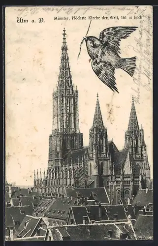 AK Ulm a. D., Münster, höchste Kirche der Welt, Ulmer Spatz