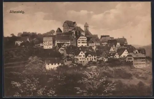 AK Altensteig, Stadtansicht mit Schloss und Altstadt