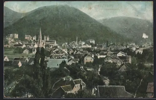 AK Harzburg, Gesamtansicht der Stadt vor dem Burgberg