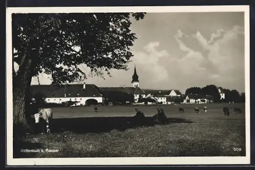 AK Rottenbuch a. Ammer, Dorfansicht mit Kirche und Weidevieh