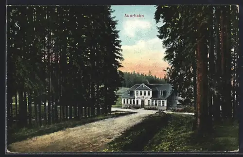 AK Stützerbach, Gasthaus Auerhahn