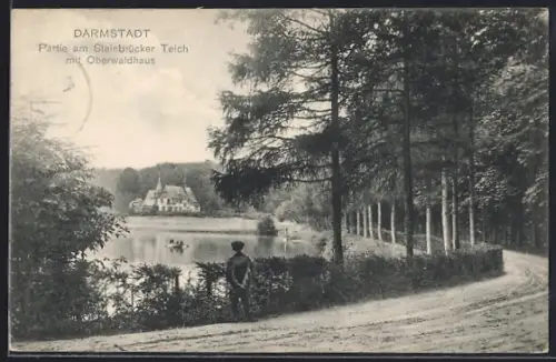 AK Darmstadt, Steinbrücker Teich, Oberwaldhaus
