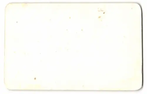 5 Fotografien Neurdein Freres, Paris, Ansicht Versailles, Schloss, Chateau, petit Trianon, Bassin de Neptun