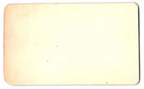 5 Fotografien Neurdein Freres, Paris, Ansicht Versailles, Schloss, Chateau, petit Trianon, Bassin de Neptun