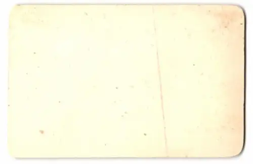 5 Fotografien Neurdein Freres, Paris, Ansicht Versailles, Schloss, Chateau, petit Trianon, Bassin de Neptun