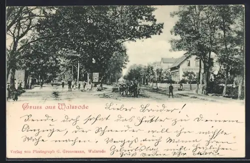 AK Walsrode, Ortspartie mit Ochsenfuhrwerk