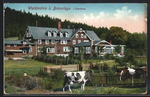 AK Braunlage, Blick zum Gasthaus Waldmühle
