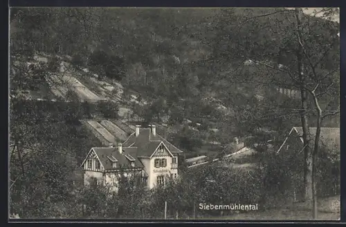 AK Heidelberg, Pension und Hotel-Restaurant Siebenmühlental