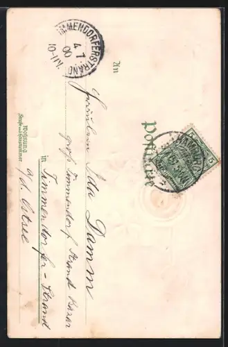 Lithographie Hamburg-St.Pauli, Botanischer Garten und Postamt