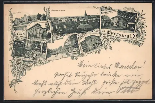 AK Eberswalde, Restaurant Zainhammer, Forstakademie, Buchhandlung