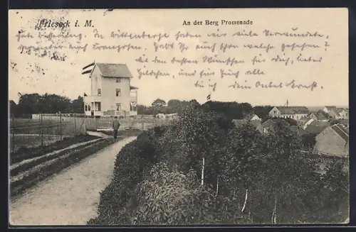 AK Friesack i. M., Partie an der Bergpromenade