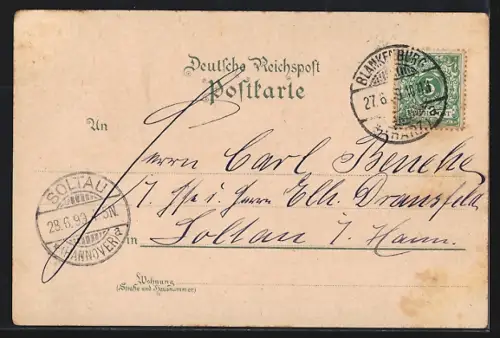 Lithographie Blankenburg / Harz, Cafe Damkoehler, Rathaus, Regenstein