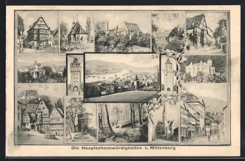 AK Miltenberg am Main, Stadttore, Schloss und Marktplatz